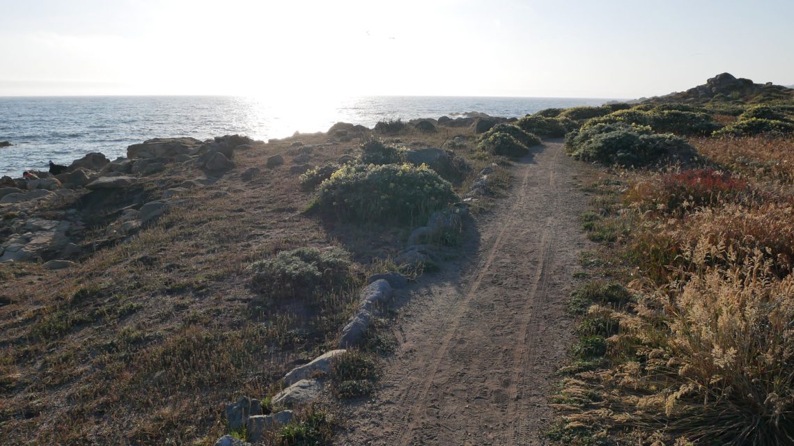 Wheelchair tracks along a fine gravel clifftop path near the ocean.