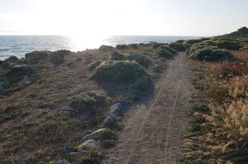 Wheelchair tracks along a fine gravel clifftop path near the ocean.